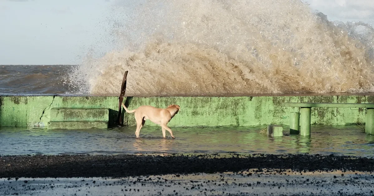 Vecinos de La Plata en alerta: el Río de la Plata podría alcanzar casi tres metros