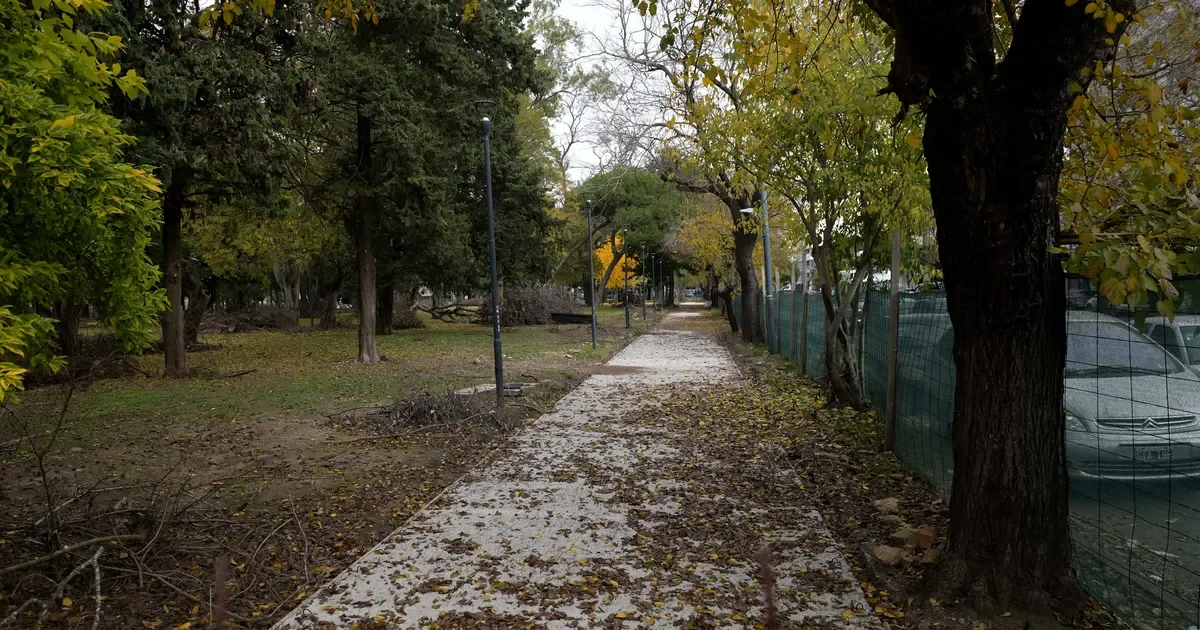 Vecinos de Parque Saavedra preocupados por falta de inversión en seguridad en la zona