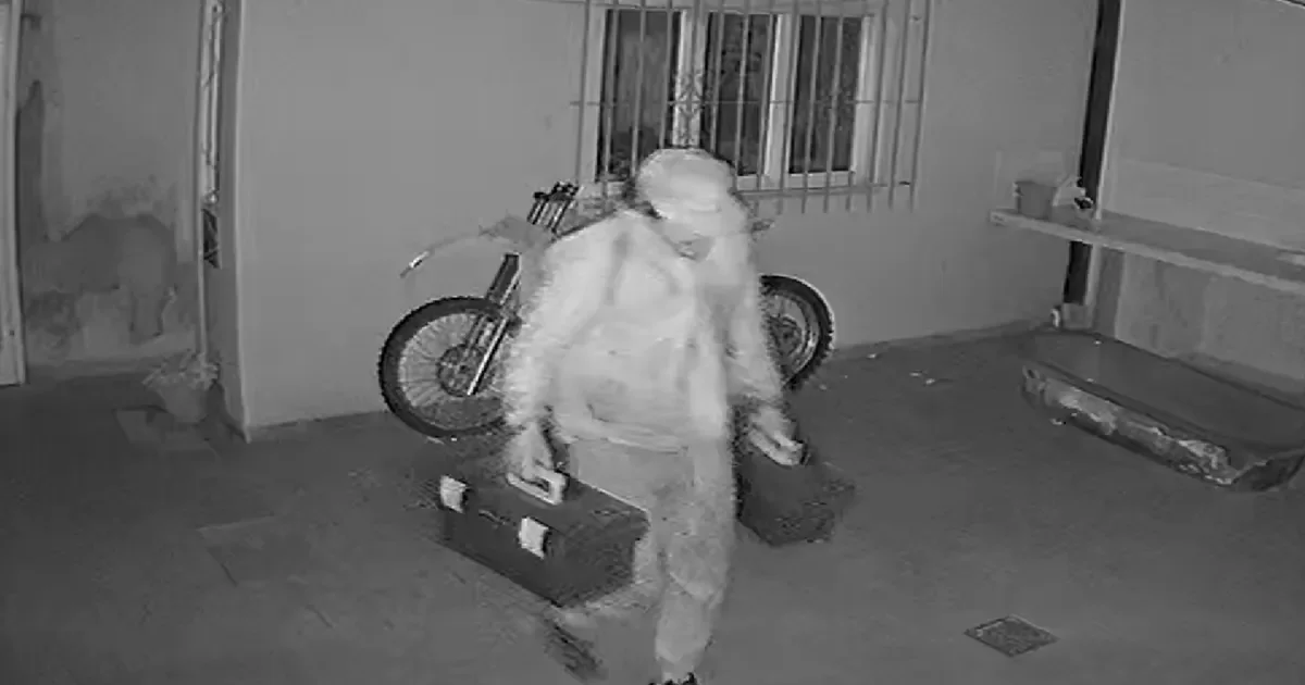 Vecinos de Tolosa exigen medidas tras tres robos en una sola cuadra