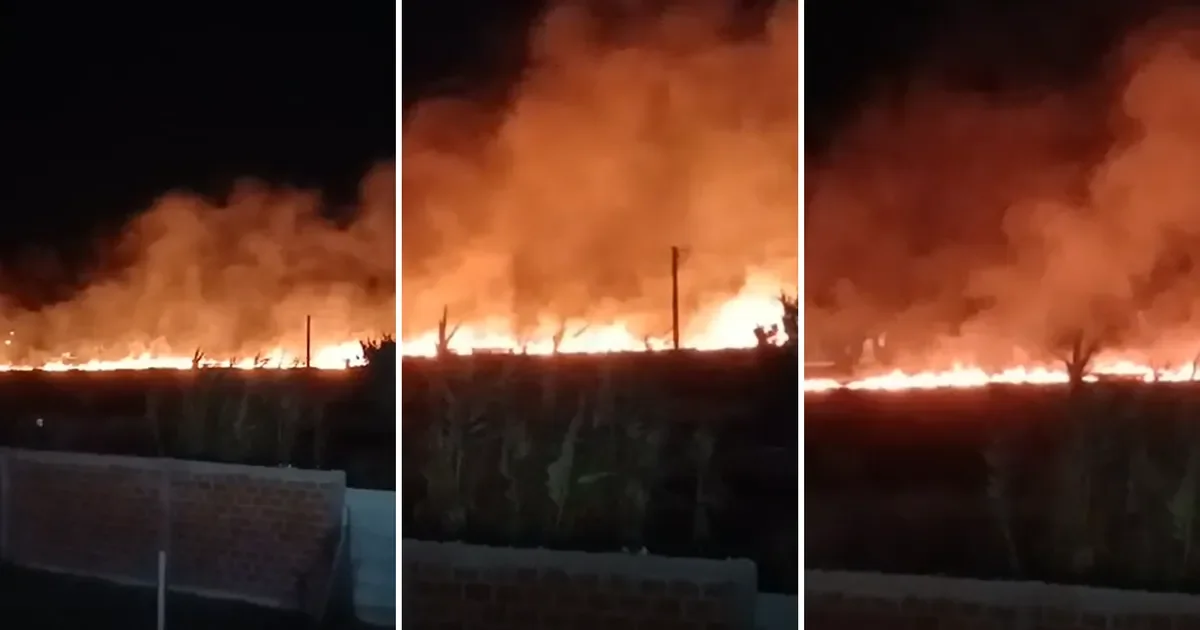 Villa Elvira en alerta: vecinos denuncian serie de incendios intencionados